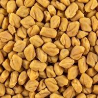 Fennelols® Fenugreek Seed Extract