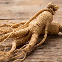Damiana Leaf Extract